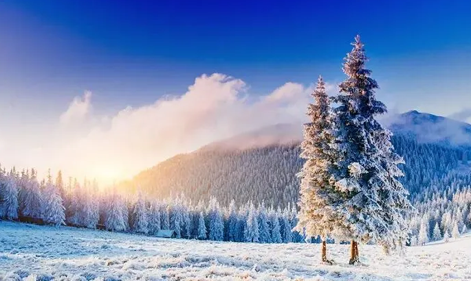 第六屆中國(guó)連鎖節(jié)總論壇閉幕式：大雪時(shí)節(jié)給天下連鎖企業(yè)家的一封信