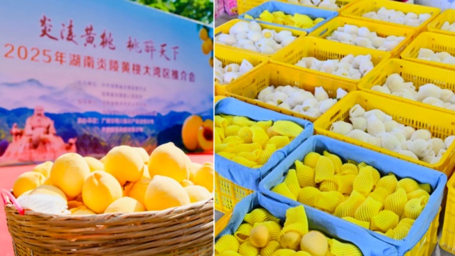 狂開(kāi)3000+門(mén)店，錢(qián)大媽如何用標(biāo)準(zhǔn)化打法引領(lǐng)餐飲革命？