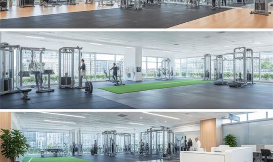 連鎖標(biāo)準(zhǔn)化三大系統(tǒng)（運(yùn)營系統(tǒng)、訓(xùn)練系統(tǒng)、督導(dǎo)系統(tǒng)）