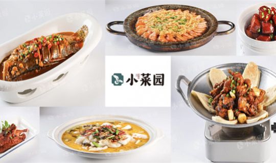 8個月狂賺4億！小菜園即將上市！