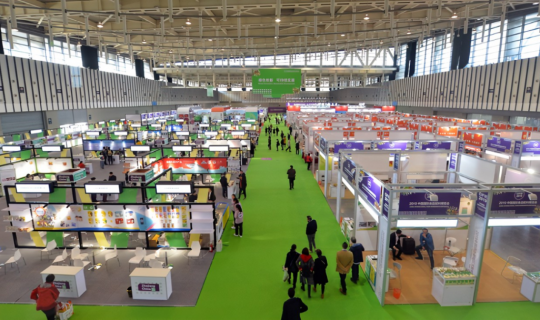 解構(gòu)“人貨場”中的“場”——場景化思維的深度解析與實踐指南