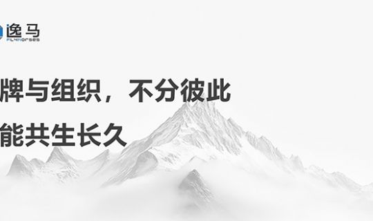 從“一店”到“萬店”：解碼連鎖企業(yè)的品牌組織升級之道